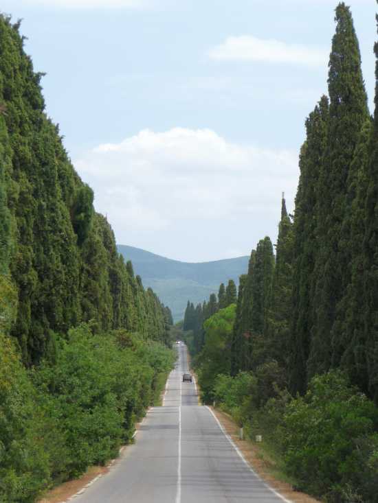 Bolgheri - Region Toskana